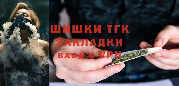 хмурый Горняк