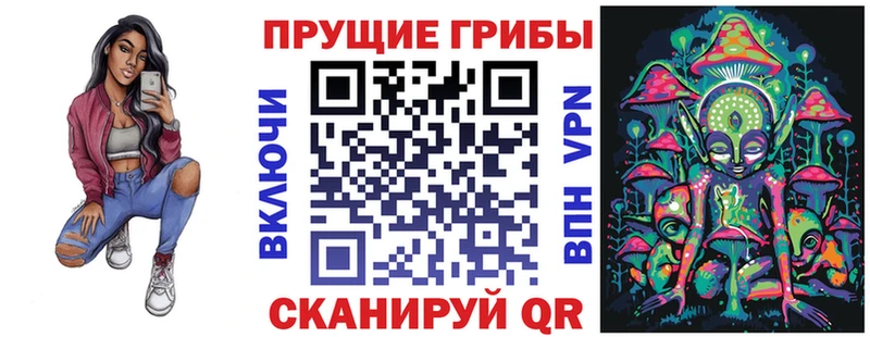 Купить закладки  Луховицы  Псилоцибиновые грибы мицелий 